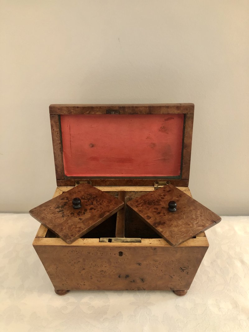 Antique Regency Sarcophagus Shaped  Burr Elm Tea Caddy - Image 3